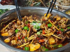 -食神又名厕所兔