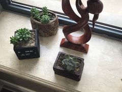 -邵汇大虾(泉园一路店)