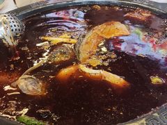 -费明中罗非鱼(大石坝店)