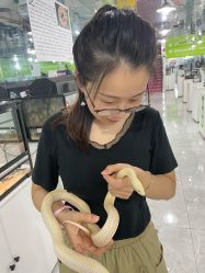 -神奇动物撸宠馆·羊驼·小浣熊·异宠(豫园店)