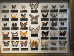 -上海昆虫博物馆