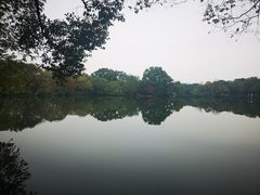 -西湖游船