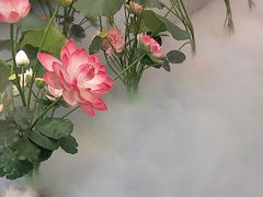 -历蜀记·家宴老火锅(总店)