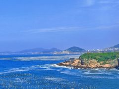 -枸杞岛