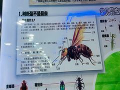-上海大自然野生昆虫馆(东方明珠·爬宠昆虫探索中心)