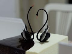 -BLACKSWAN黑天鹅(环球店)