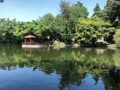 -东莞市可园博物馆