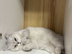 -M.S拳击泰拳馆(大学路店)