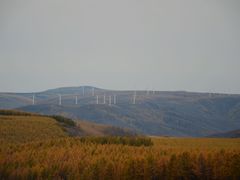 -塞罕坝国家级自然保护区