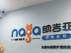 -纳吉亚猫专科动物诊疗中心(蒋宅口分院)