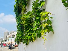 -青果巷历史文化街区