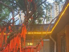 -董立兵烤鸭店(明湖店)