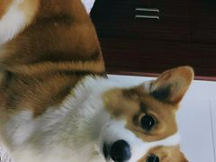 -DQ·蛋糕·冰淇淋(惠山万达店)
