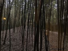 -河北霸州茗汤日月潭温泉