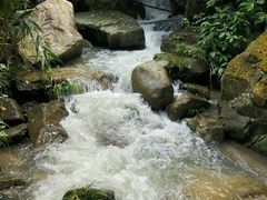 -四会奇石河风景区