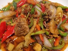 -军子大排档(迎春花园店)