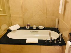 -广州富力丽思卡尔顿酒店