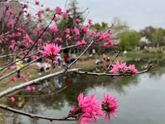 -堤角公园