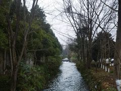 -都江堰中华大熊猫苑