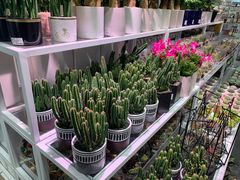 -KKV(深圳宏发大仟里店)