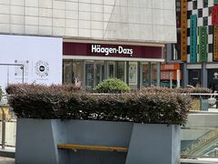 -哈根达斯(世界城店)