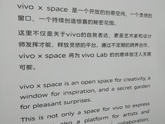 -vivo官方授权体验店(太子路店)