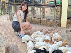 -灵玲国际马戏城