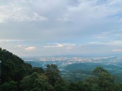 -黄埔油麻山森林公园