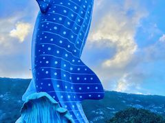 -珠海长隆海洋王国