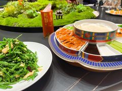 -鞍山大白鲨美食酒店