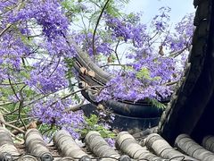 -龙潭水乡