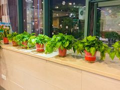 -小六汤包砂煲菜(文景路店)