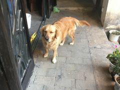 -浔岚云舍mist静谧观景美宿(丽江古城店)