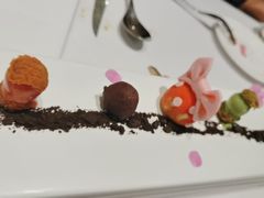 -蝶舍·MAISON PAPILLON