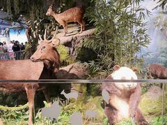 -四川大学博物馆