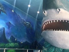 -多彩贵州城极地海洋世界