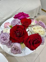 -WENDY·温迪皮肤管理