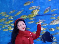 -重庆欢乐海底世界