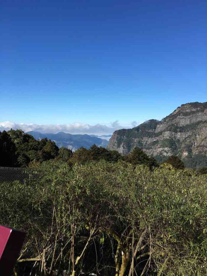 阿里山火车站-"友人带我来做阿里山站到祝山站的小火车,大.