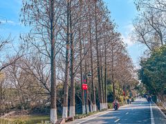 -西溪国家湿地公园