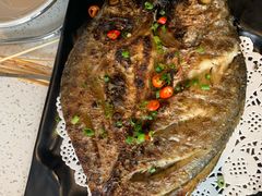 -九府羊·鲜羊火锅·烤串(新华路店)