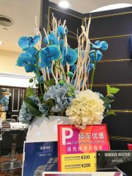 -八佰伴8008星级形象店