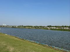 -春花秋色城市公园