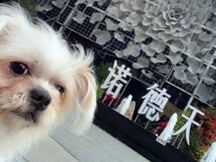 -爱诺耐芙动物医院(万博店)