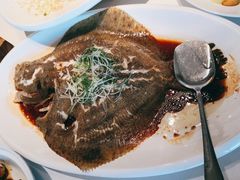 清蒸多宝鱼-鱼乐轩·俄罗斯海鲜直供餐厅(群力店)