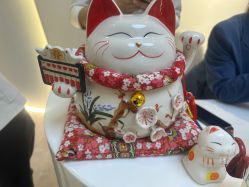 -VE专注问题肌·赛诺龙&科学美肤中心