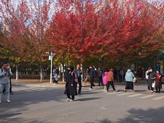 -辽宁大学(崇山校区)