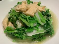 小白菜炒腐竹-苏帮袁Sue Cuisine(南开大悦城店)