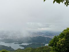 -梧桐山风景名胜区