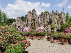 -秀丽东方